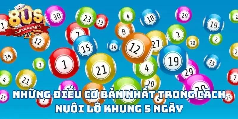 Cách Nuôi Lô Khung 5 Ngày - 3 Bước Đơn Giản Rinh Về Thưởng Lớn Những điều cơ bản nhất trong cách nuôi lô khung 5 ngày