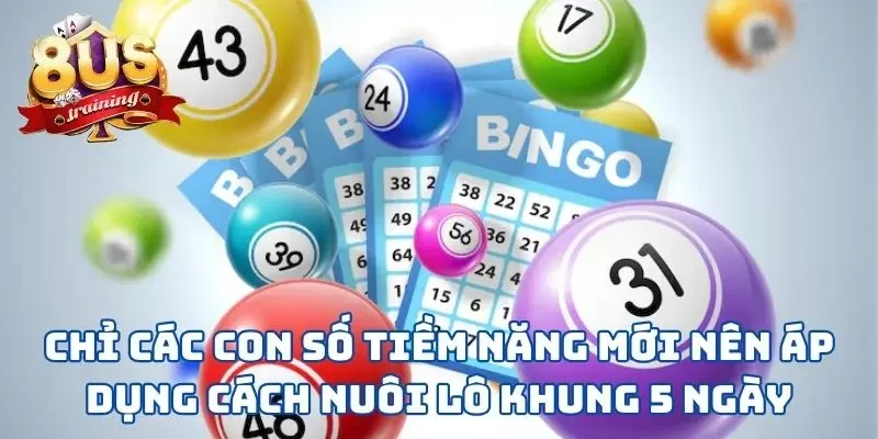 Cách Nuôi Lô Khung 5 Ngày - 3 Bước Đơn Giản Rinh Về Thưởng Lớn Chỉ các con số tiềm năng mới nên áp dụng cách nuôi lô khung 5 ngày