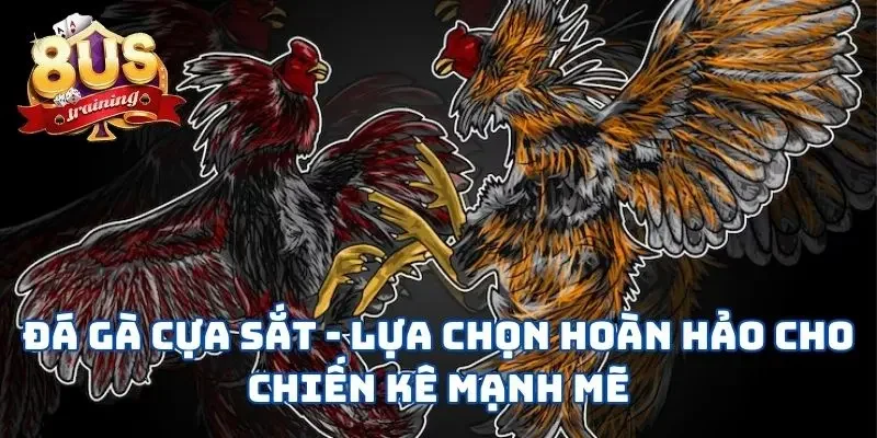 Đá Gà Cựa Sắt - Lựa Chọn Hoàn Hảo Cho Chiến Kê Mạnh Mẽ Đá Gà Cựa Sắt - Lựa Chọn Hoàn Hảo Cho Chiến Kê Mạnh Mẽ