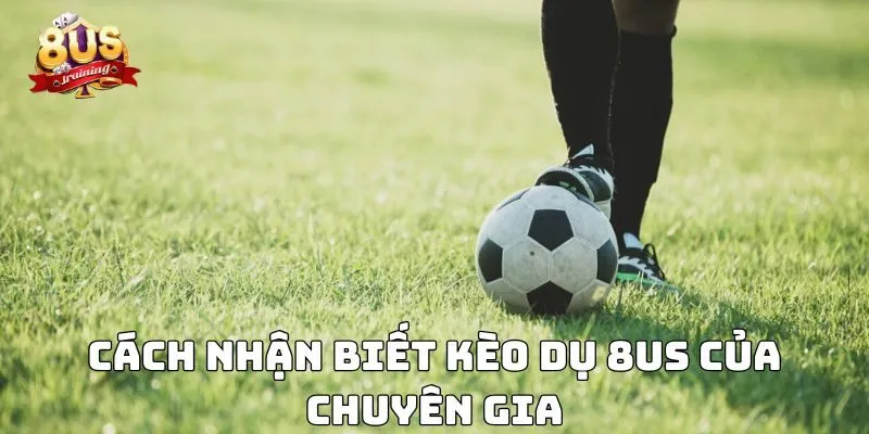 Kèo Dụ 8US – Hiểu Rõ Để Tránh Bẫy, Nâng Cao Chiến Thắng Cách nhận biết kèo dụ 8US của chuyên gia