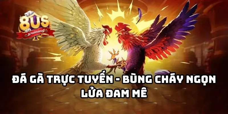 Trang chủ Đá gà trực tuyến - Bùng cháy ngọn lửa đam mê